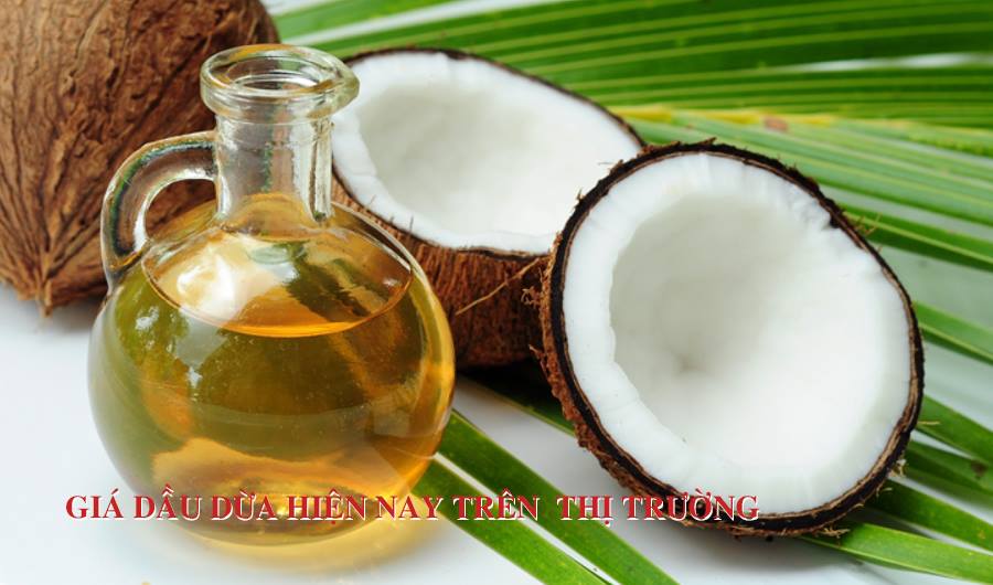 Giá dầu dừa hiện nay